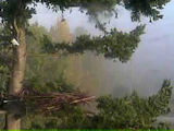 picture of Delta OWL nest