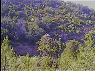 Pelican Harbor Nest