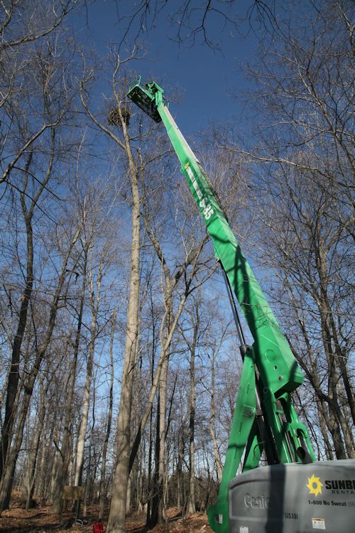 cam being installed at hanover pa eagle nest